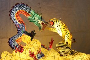 Live Dragon Tiger in Ranchi: Complete 2026 Guide for Indian Players